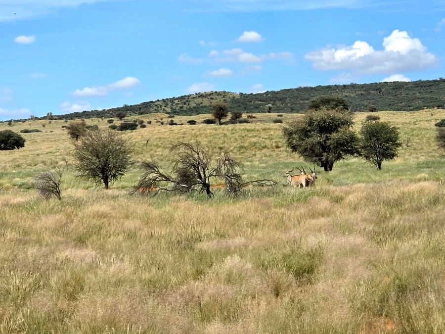 Commercial Property for Sale in Griekwastad Rural Northern Cape